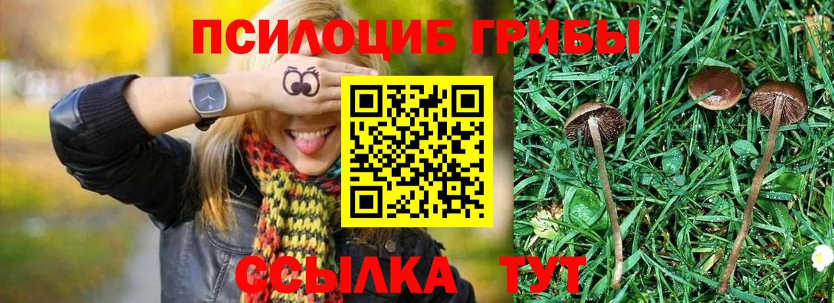 Псилоцибиновые грибы MAGIC MUSHROOMS  Вход с VPN  Йошкар-Ола 